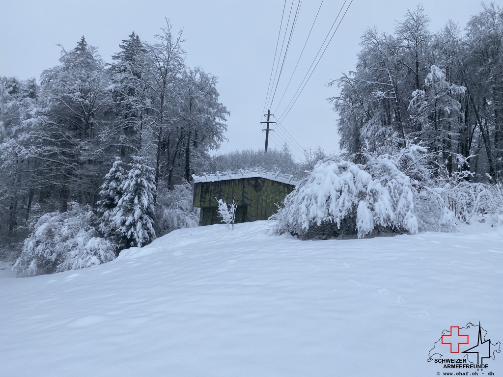 Kirchtannen im Winterkleid