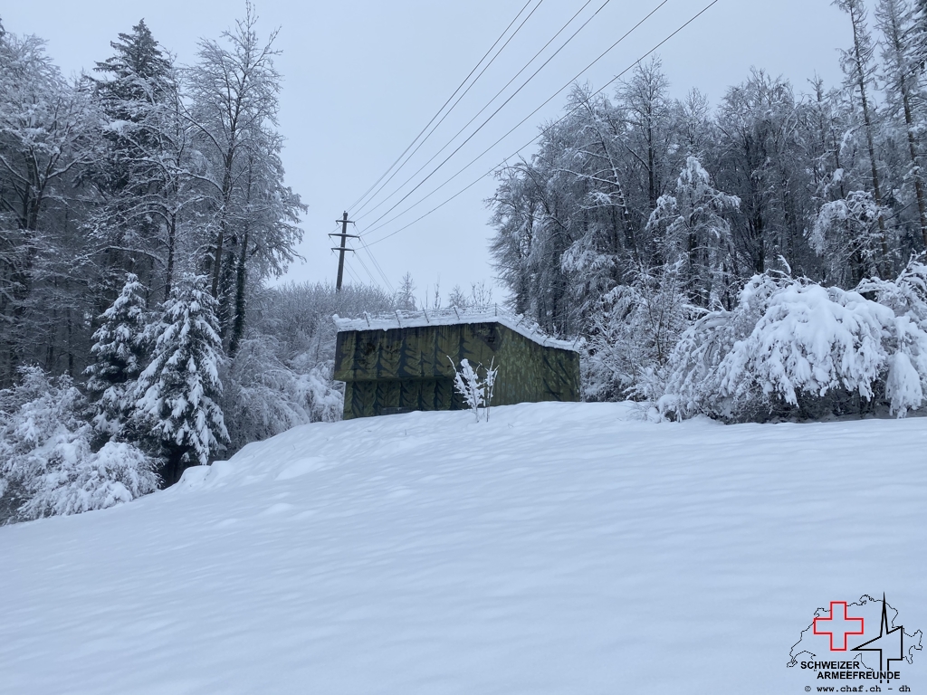 Kirchtannen im Winterkleid