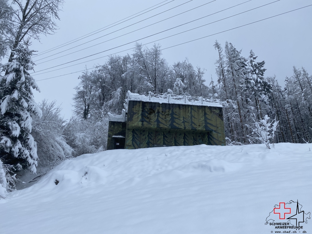 Kirchtannen im Winterkleid