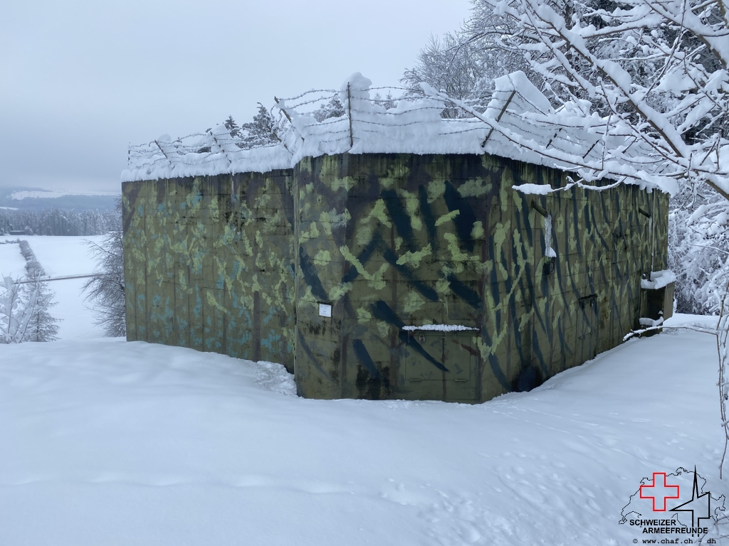 Kirchtannen im Winterkleid mit weisser Krone