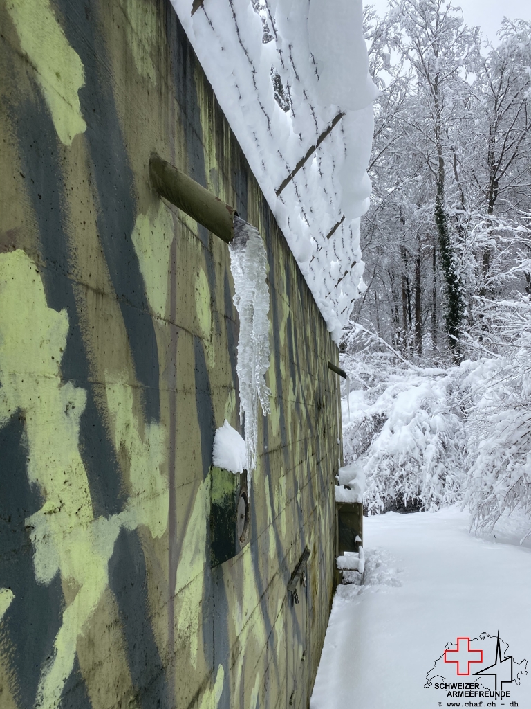 Eiszapfen am Kirchtannen