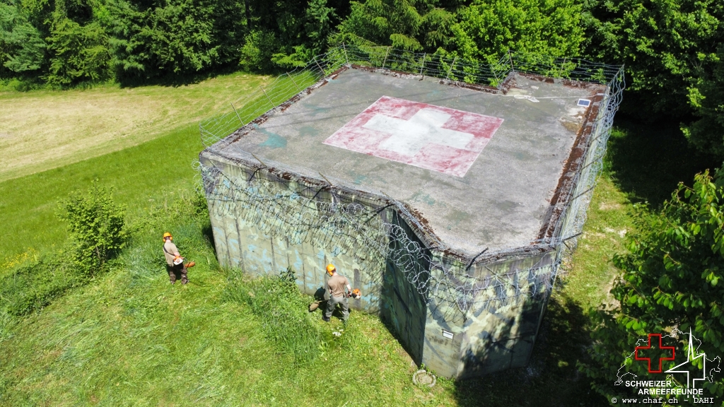 Grasen beim Kirchtannen