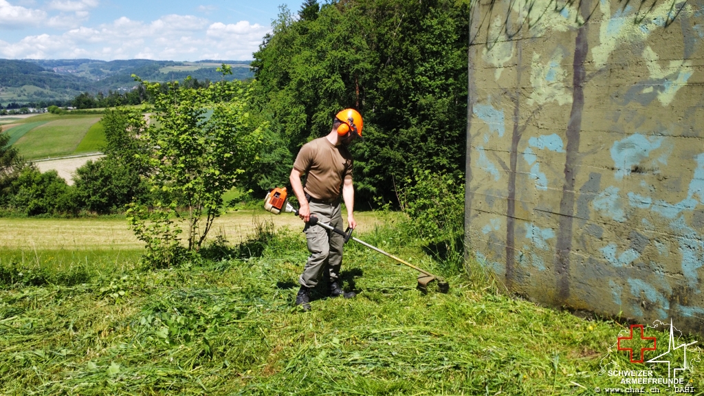 Grasen beim Kirchtannen