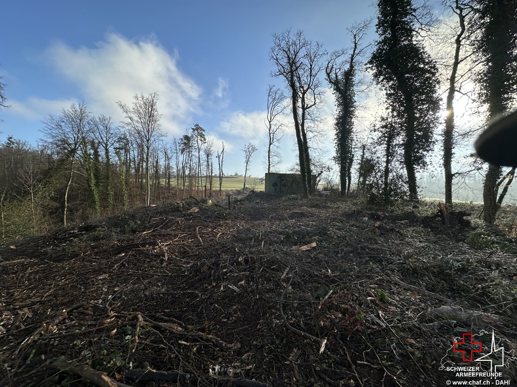 Bunker im Nicht-Wald