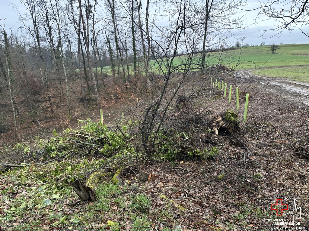 Blick vom Bunker Richtung Reuenthal