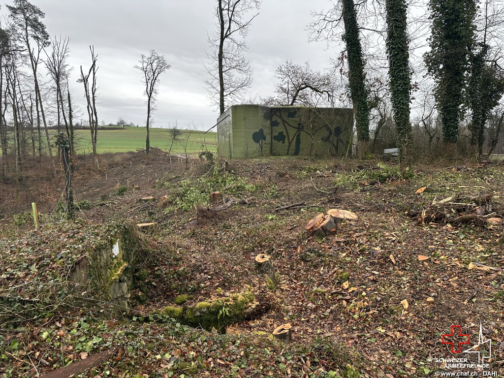 Bunker im Nicht-Wald