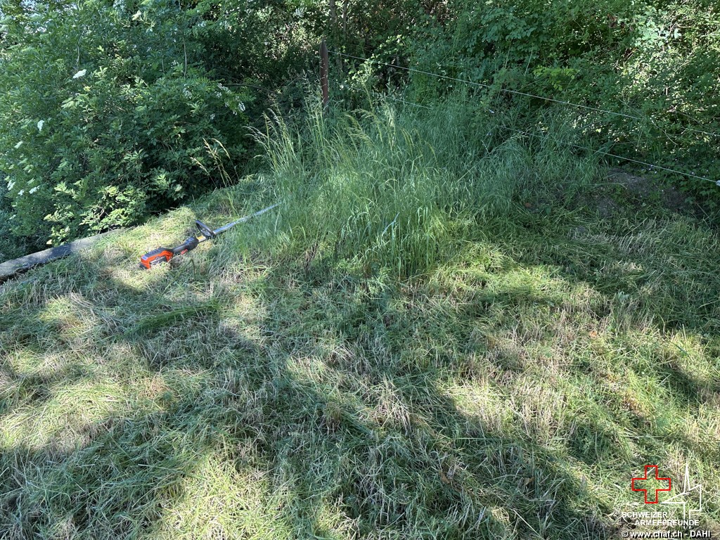 Kurzhaarschnitt auf dem Dach